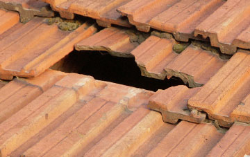 roof repair Tilly Down, Hampshire